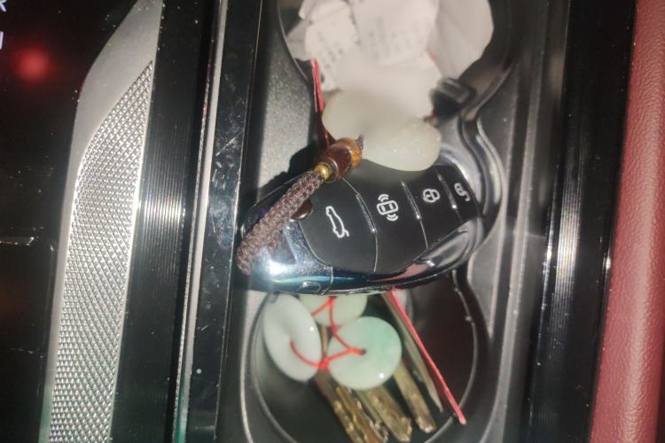 Used Hongqi H5 2024 2.0T Automatic Smart Connect Flagship Edition