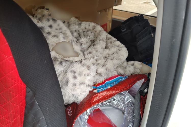 Used Geely Galaxy Panda 2025 210 km – Yuanqi Bear
