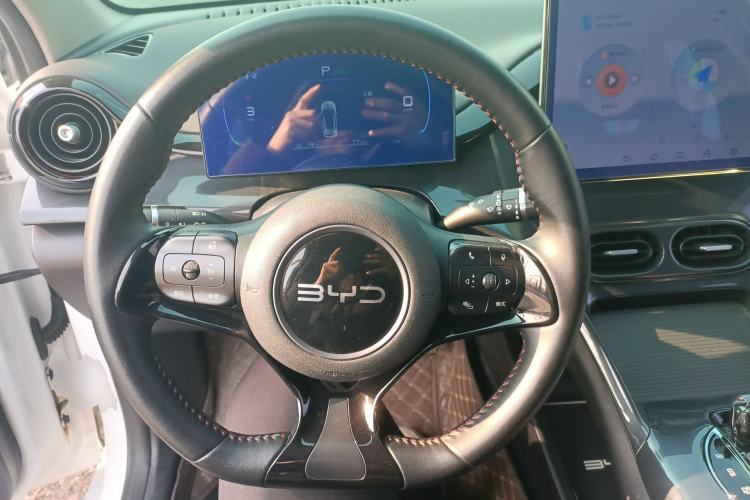 Used BYD e2 2024 Honor Edition Luxury Model Steering Wheel