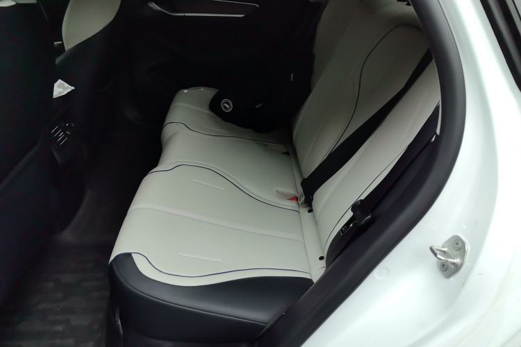 Used BYD Destroyer 05 2024 HONOR Edition DM-i 55KM Luxury Model Left Rear Seat