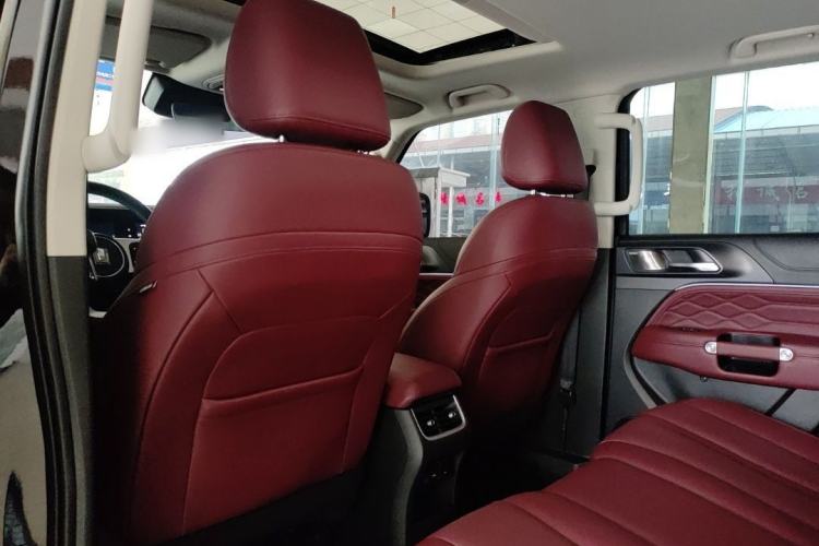 Used Tank 300 2024 2.0T Conqueror