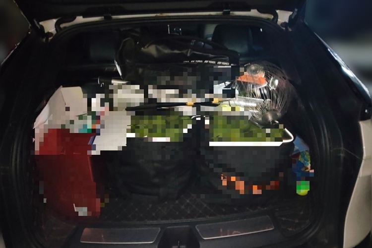 Used Cadillac LYRIQ 2022 Four-Wheel-Drive High-Performance Deluxe Edition Trunk