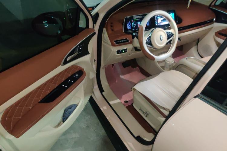 Used ORA Good Cat 2024 401 km Luxury Version Driver Seat