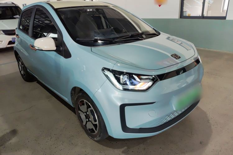 Used SOL E10X 2022 Flower Fairy Style Baby's Breath