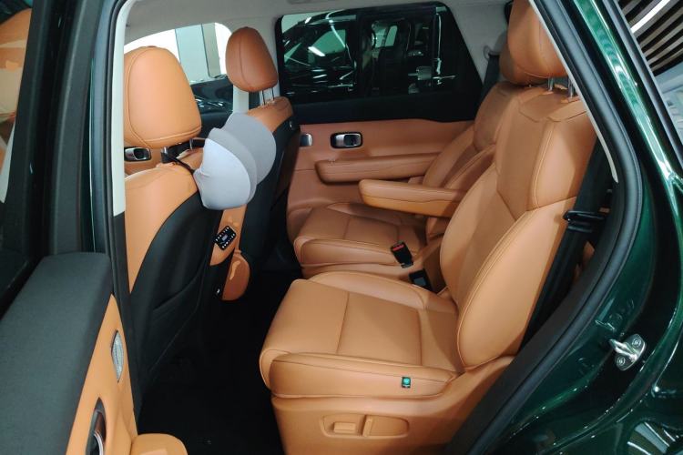 Used Leapmotor C16 2024 Range-Extended 200 Luxury Edition Left Rear Seat