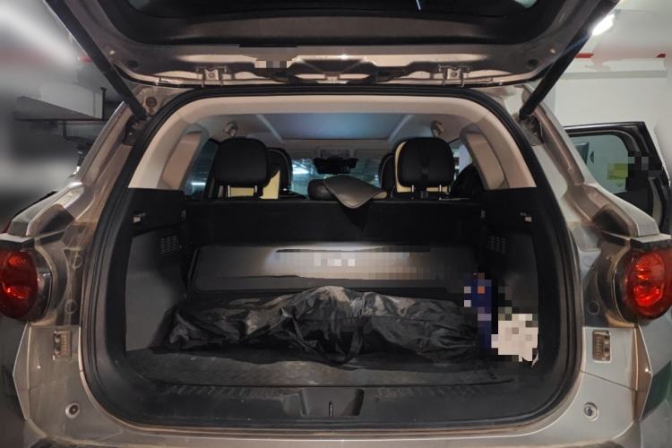 Used Haval H Dog 2023 2.0T All-Wheel-Drive Chaoye Plus Trunk