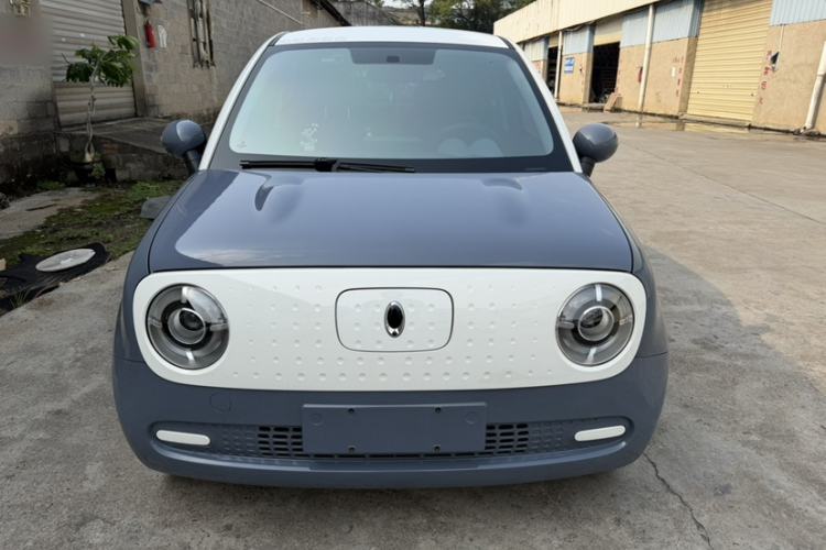 Used ORA Black Cat 2021 301 km Basic Version Exterior 5