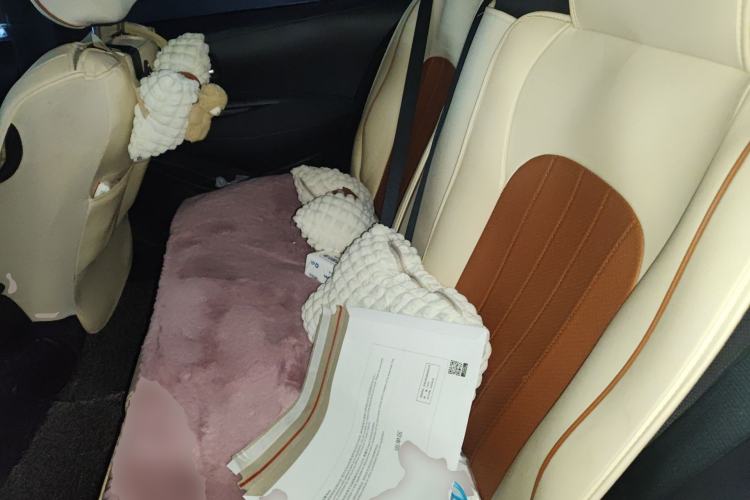 Used Toyota Corolla 2019 1.2T S-CVT GL-i Elite Edition Left Rear Seat