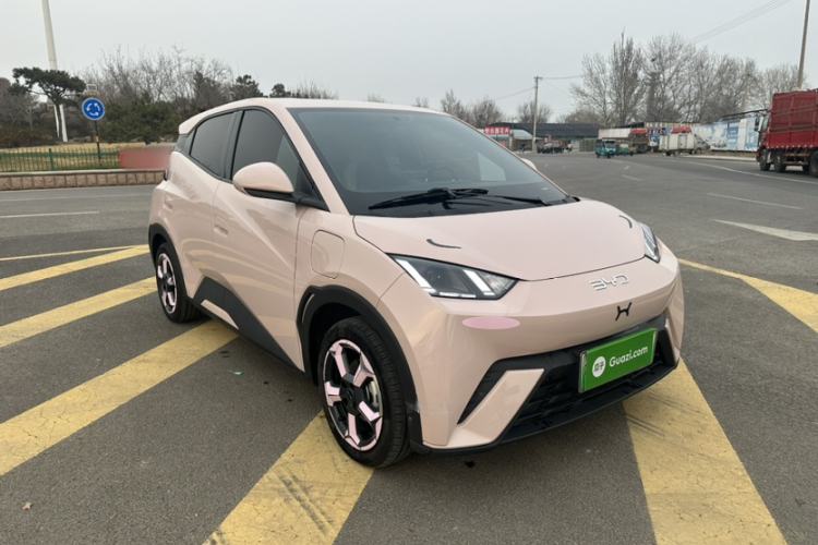 Used BYD Seagull 2024 Honor Edition 305km Freedom Version
