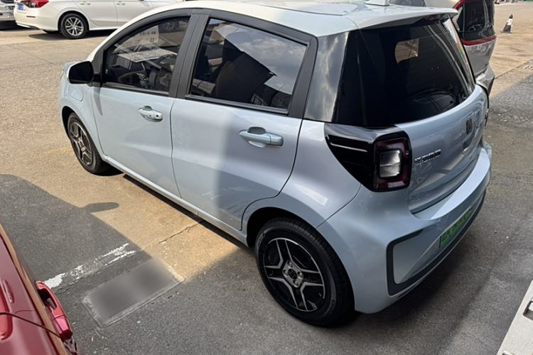 Used SOL E10X 2022 Flower Fairy Design Four-Leaf Clover