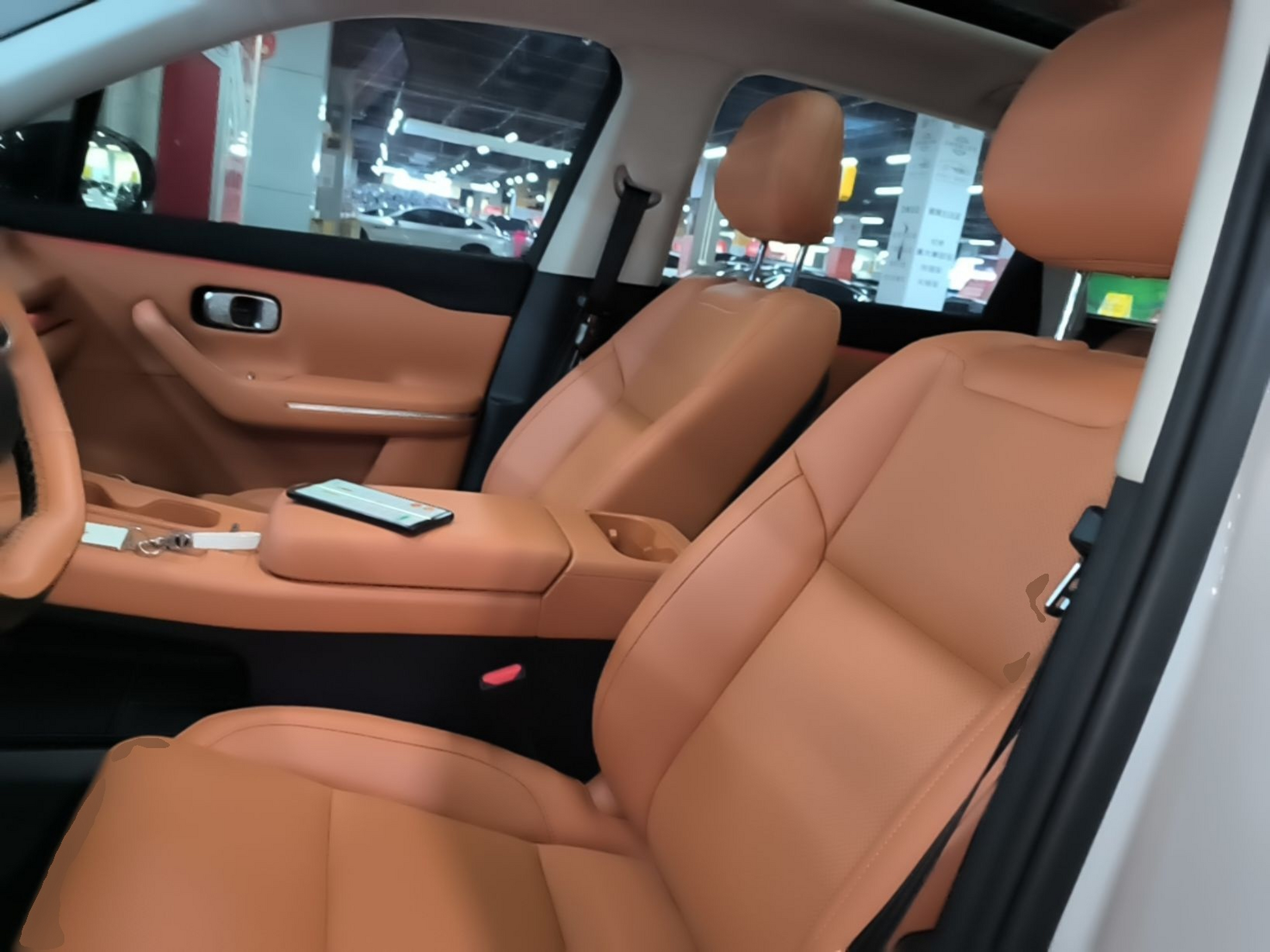 Interior delantero