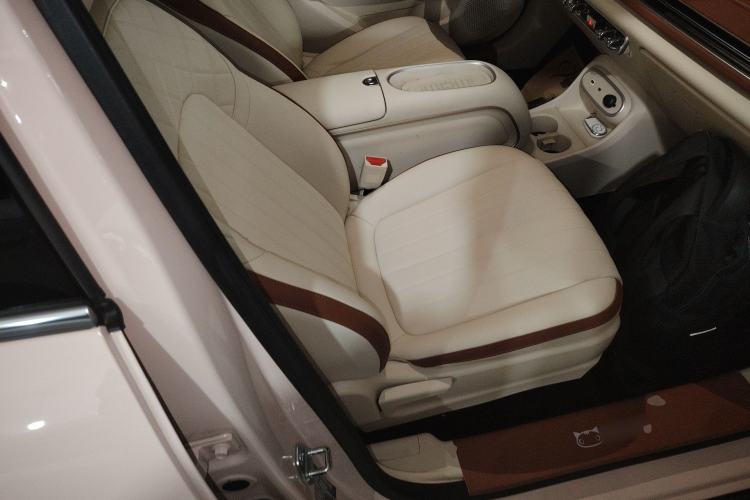 Used ORA Good Cat 2024 401 km Luxury Version Right Front Seat