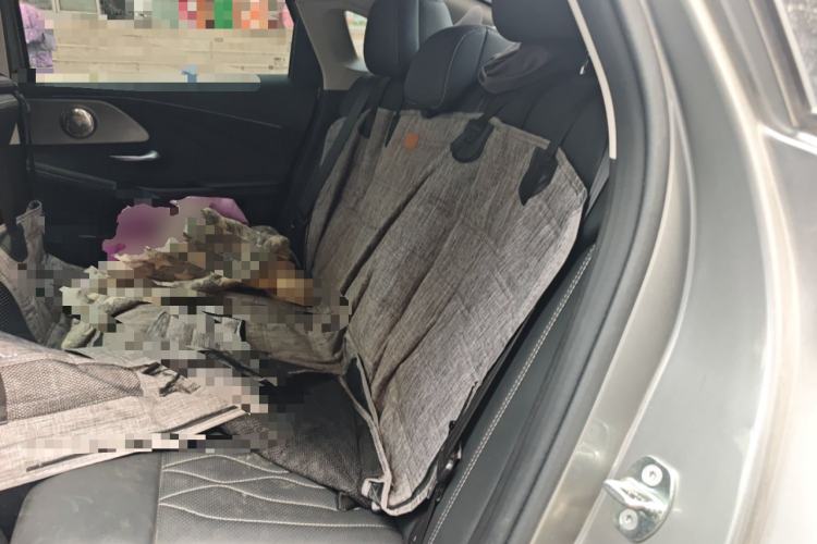 Used Chery Arrizo 8 2022 1.6T DCT Ya Left Rear Seat