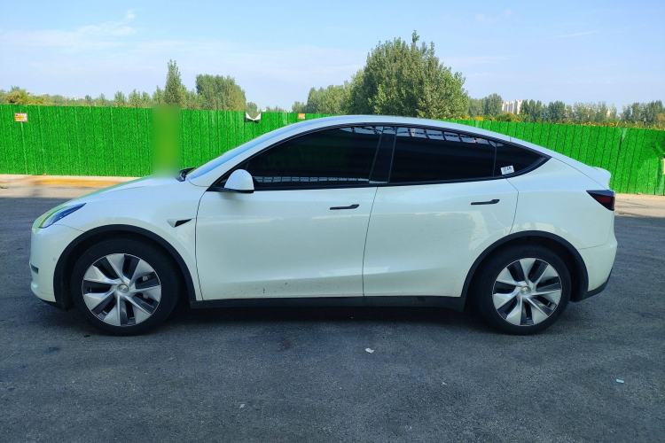 Used Tesla Model Y 2022 Rear-Wheel-Drive Version

