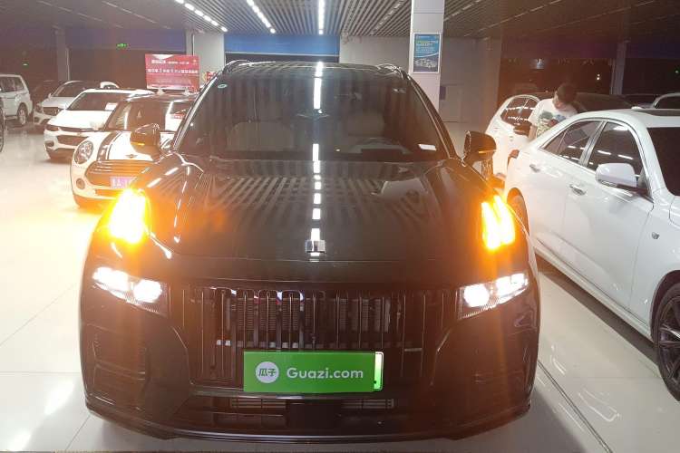 Used Lynk & Co 09 EM-P 2024 2.0TD EM-P Four-Wheel Drive ULTRA Six-Seater
