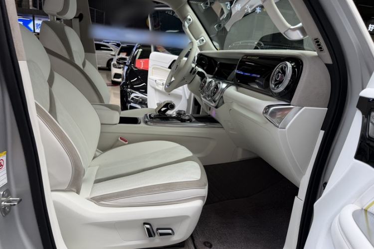 Used Cyberspace Tank 300 2021 2.0T Cyber Tank Right Front Seat