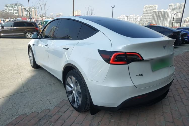 Used Tesla Model Y 2021 Standard Range Rear-Wheel Drive Version
