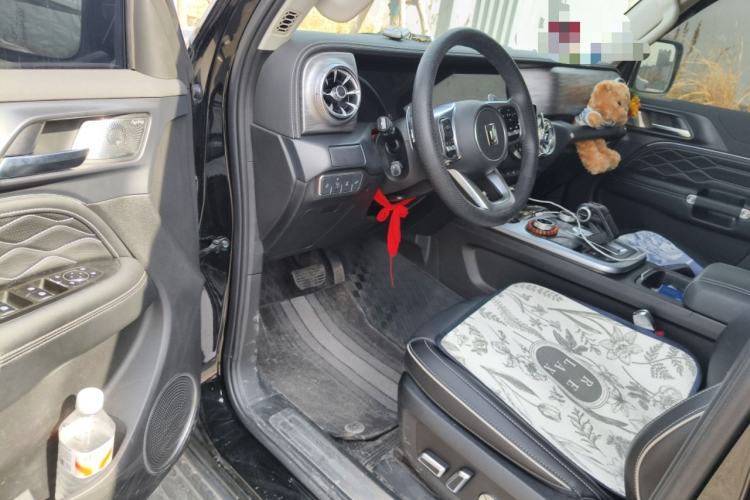 Used Tank 300 2024 2.0T Conqueror