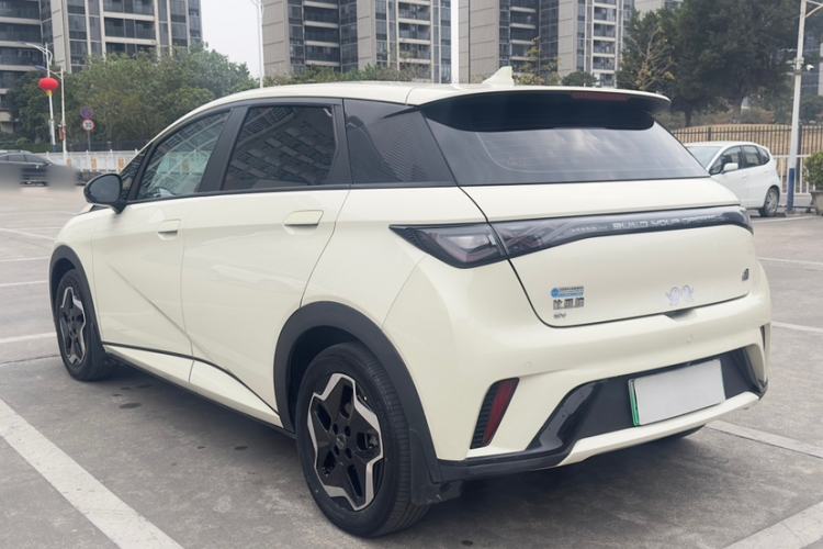 Used BYD Dolphin 2021 405 km Free Version