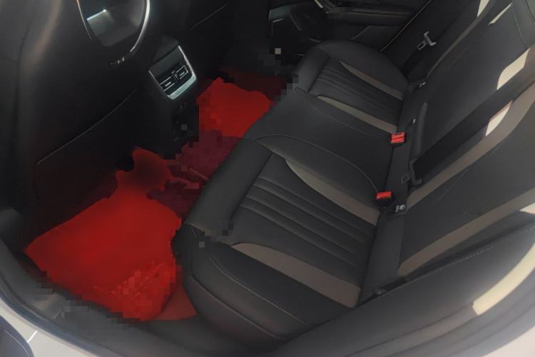 Used Hongqi H6 2024 2.0T ZhiMei Edition Left Rear Seat