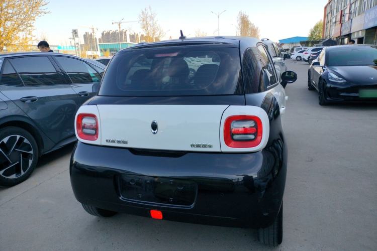 Used ORA Black Cat 2019 351 km Family Edition Rear