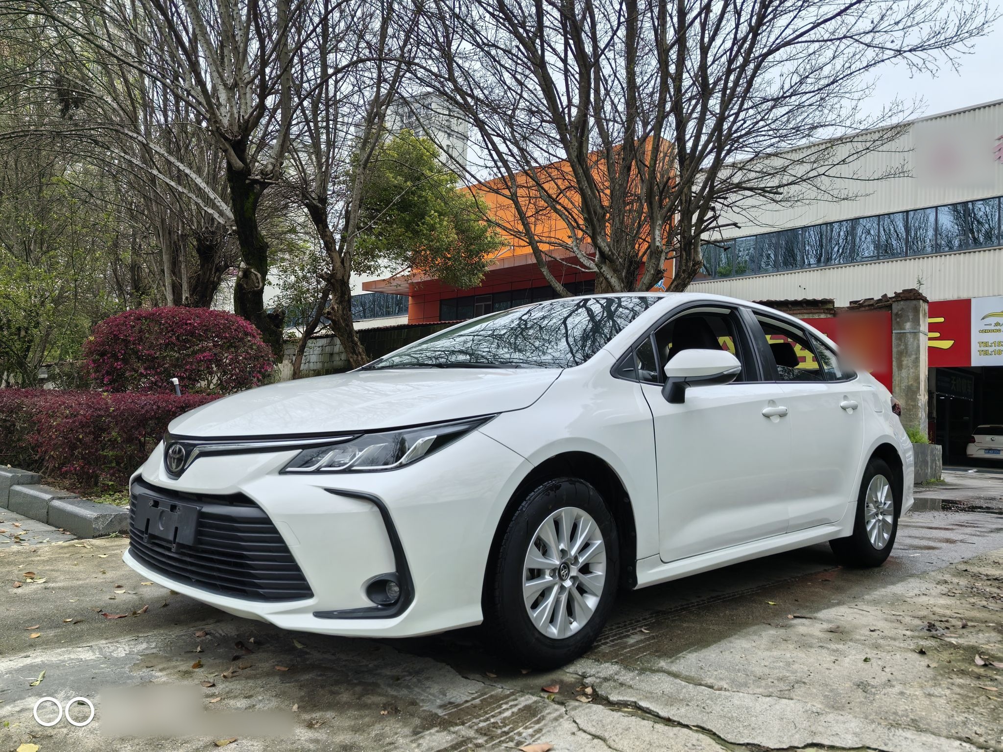 تحت مقدمة السيارة