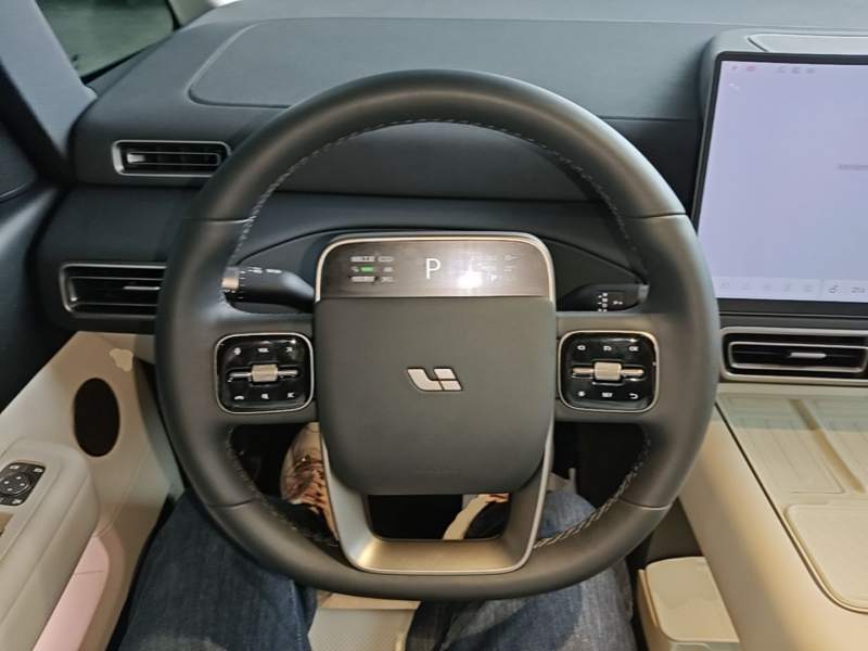 Used Li Auto MEGA 2025 Home Family Special Edition — 10