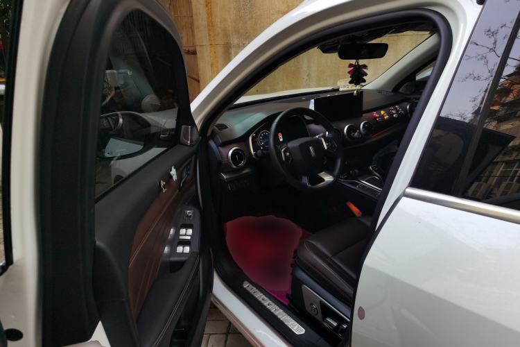 Used Wey VV6 2021 2.0T Two-Wheel Drive Smart Plus
