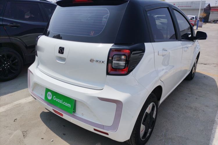 Used SOL E10X 2022 Flower Fairy Design Dandelion