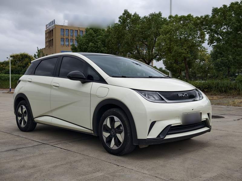 Used BYD Dolphin 2025 420km Fashion Edition — 27