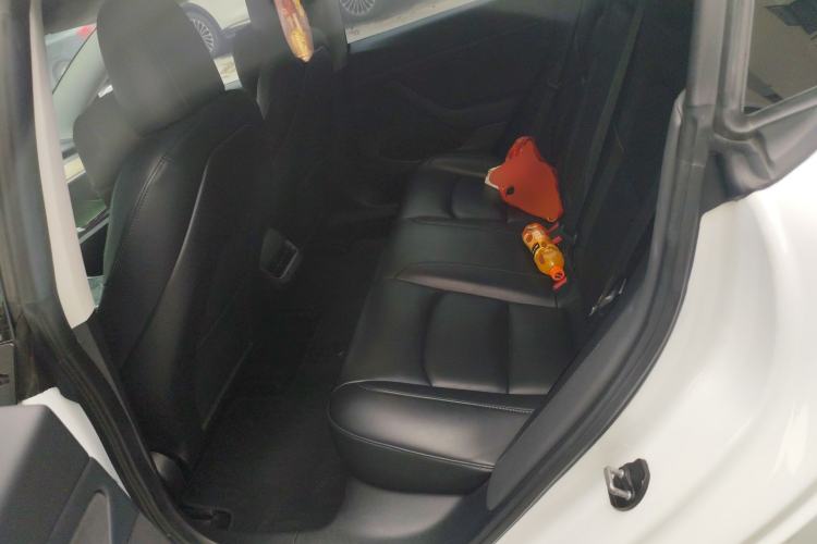 Used Tesla Model 3 2019 Long-Range Rear-Wheel-Drive Version Left Rear Seat