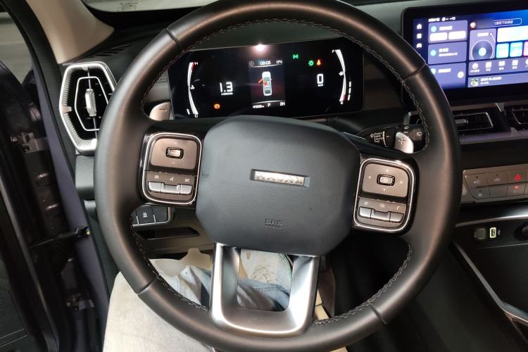 Used Haval H5 2023 2.0T Automatic All-Wheel Drive LinkedIn Gasoline
