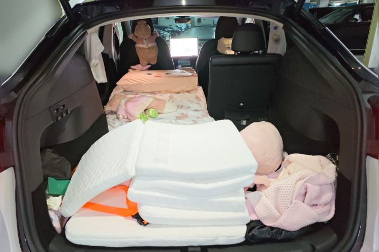 Used Tesla Model Y 2024 Rear-Wheel-Drive Version