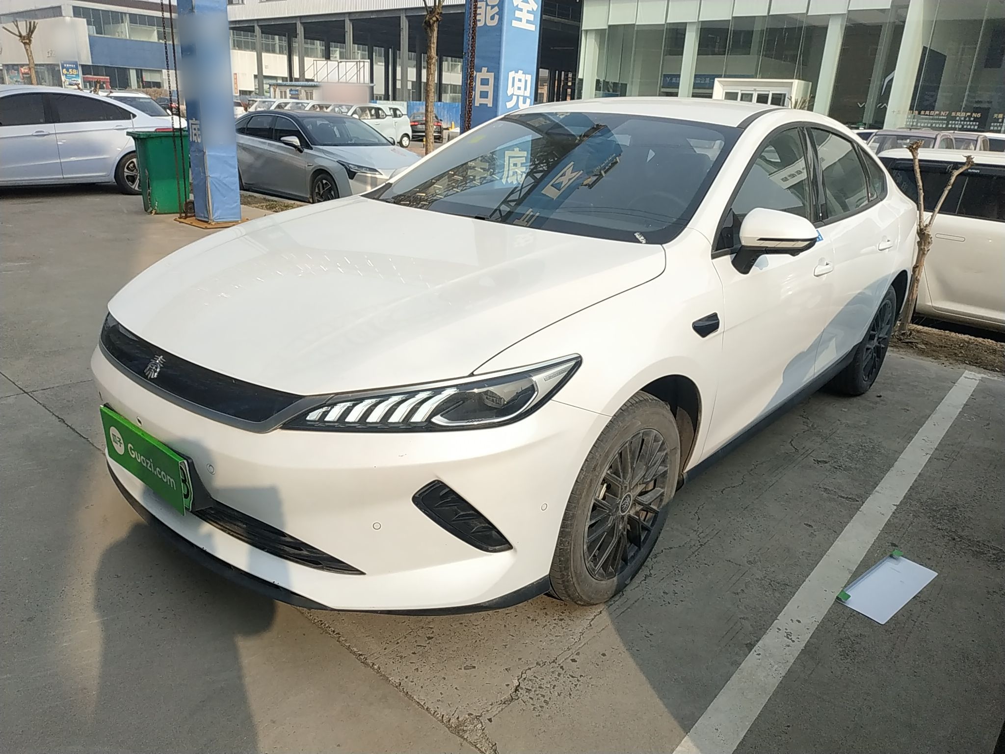 Parte inferior delantera