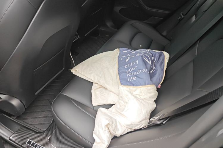 Used Tesla Model 3 2022 Rear-Wheel-Drive Version Left Rear Seat