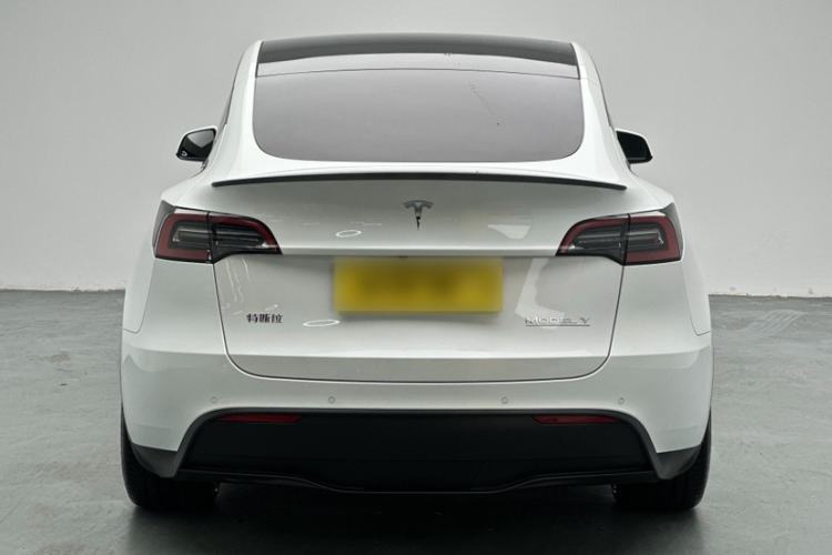 Used Tesla Model Y 2021 Performance High-Performance All-Wheel-Drive Version Exterior 6