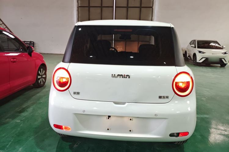 Used Qiyuan Lumin 2022 210km Sweet Edition