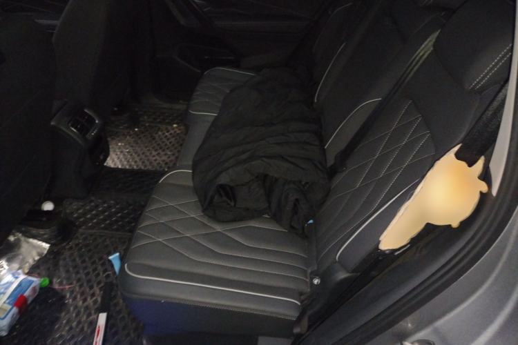 Used Volkswagen Tiguan L New Energy 2022 430 PHEV Plug-in Hybrid Prestige Edition Left Rear Seat