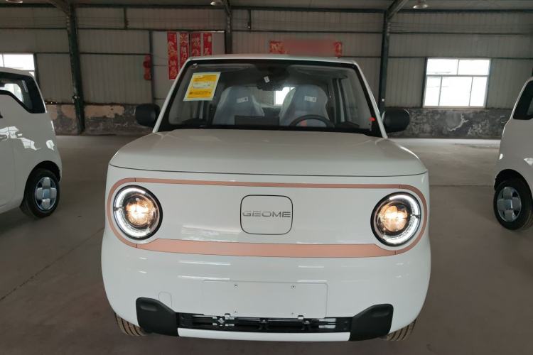 Used Geely Galaxy Panda 2024 Panda Mini 200km Endurance Bear Front