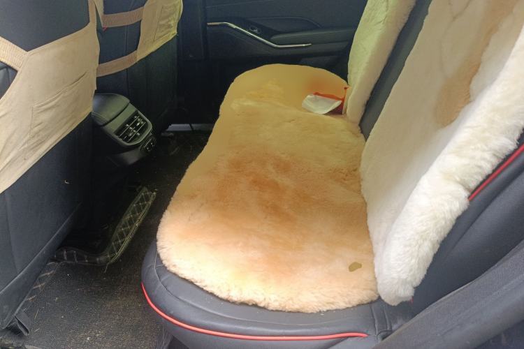 Used Haval H6 2024 1.5T Two-Wheel-Drive Classic Edition Left Rear Seat