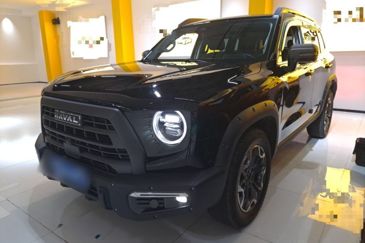 Used Haval DARGO 2024 2.0T DCT Chinese Rural Dog Edition