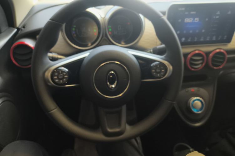 Used ORA Black Cat  Steering Wheel