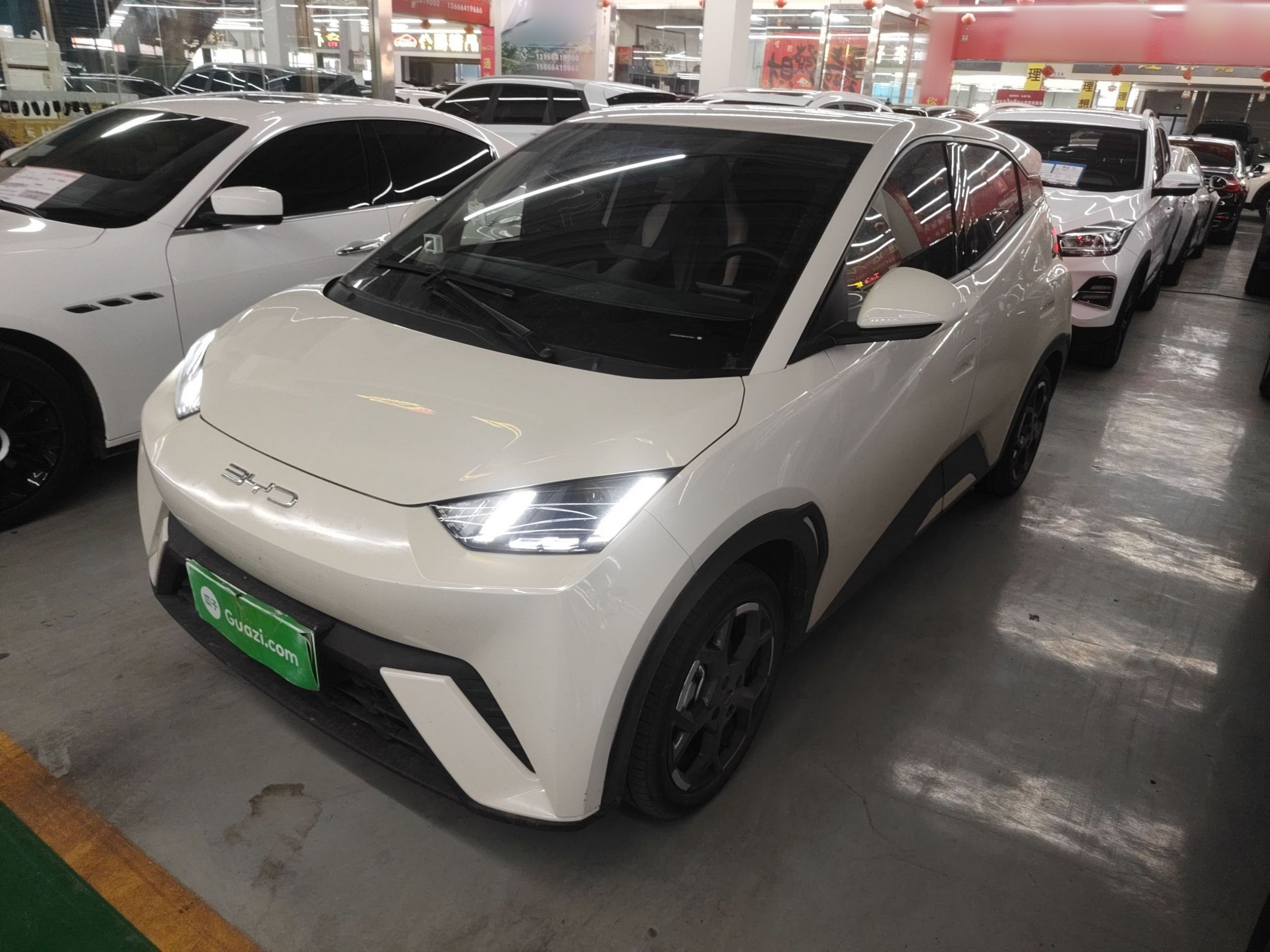 Parte inferior delantera