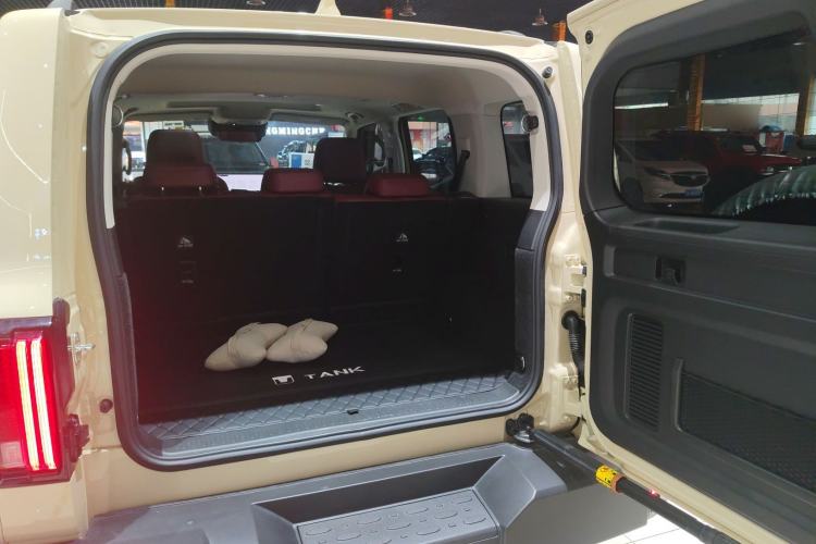 Used Tank 300 2025 2.0T Conqueror