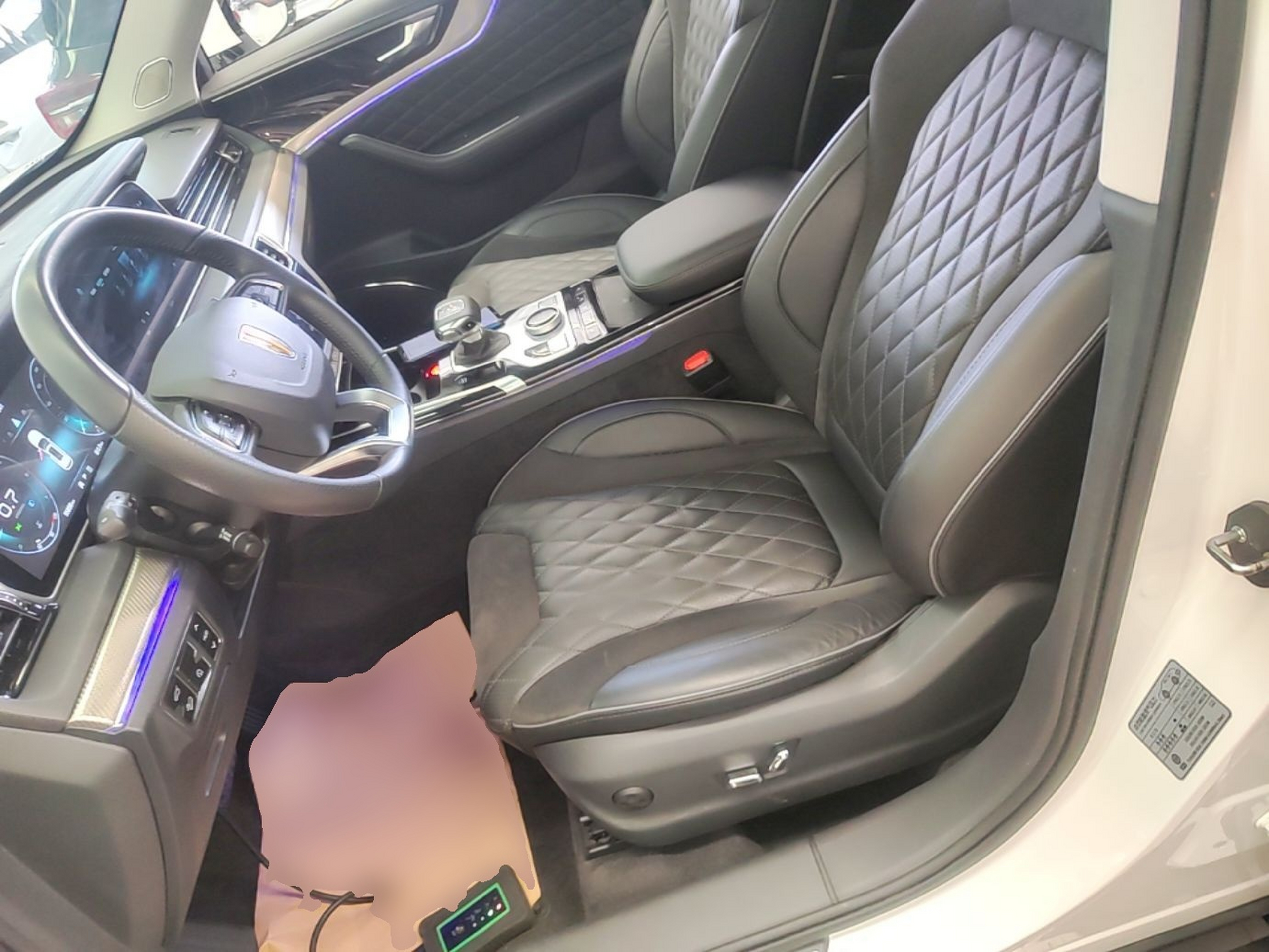 Interior delantero