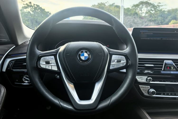 Used BMW 5 Series New Energy 2020 530Le Luxury Package