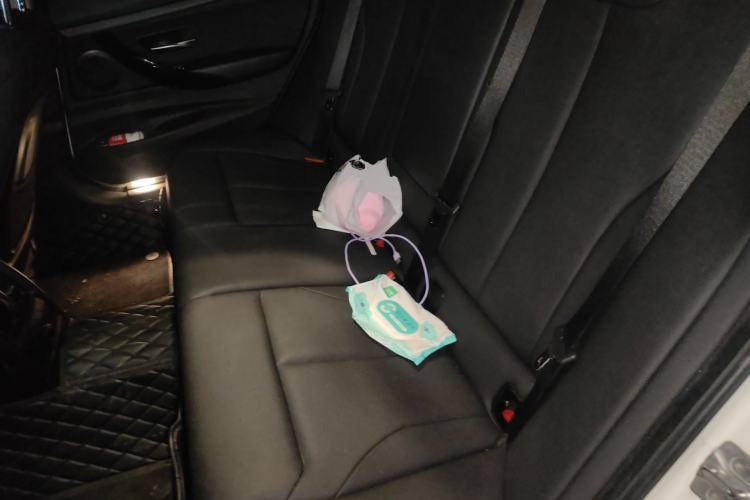 Used BMW 3 Series GT 2018 320i Sport Edition Left Rear Seat