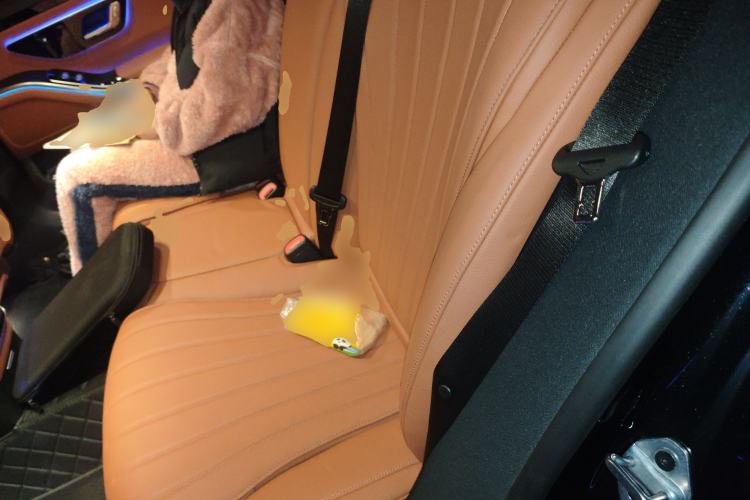 Used Mercedes-Benz S-Class 2023 S 400 L Business Model Left Rear Seat