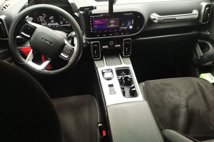 Used Haval DARGO 2024 2.0T DCT Chinese Rural Dog Edition
