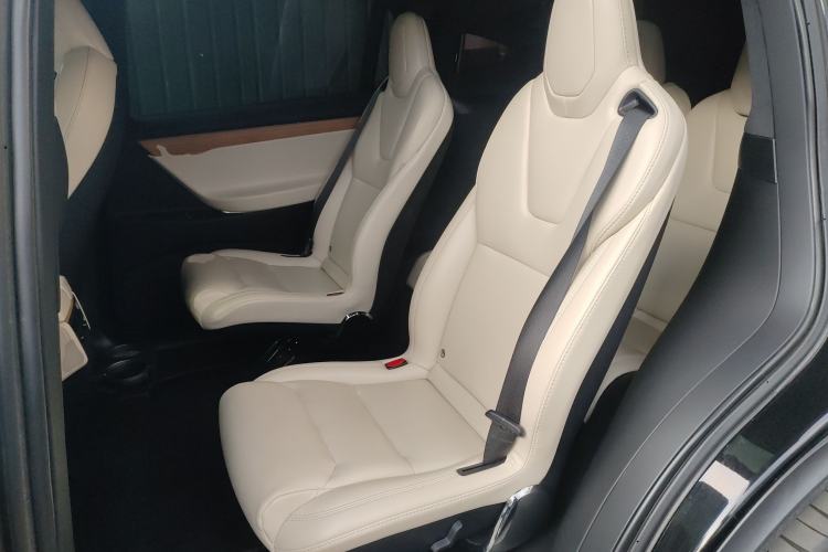 Used Tesla Model X 2019 Performance High-Performance Edition Left Rear Seat